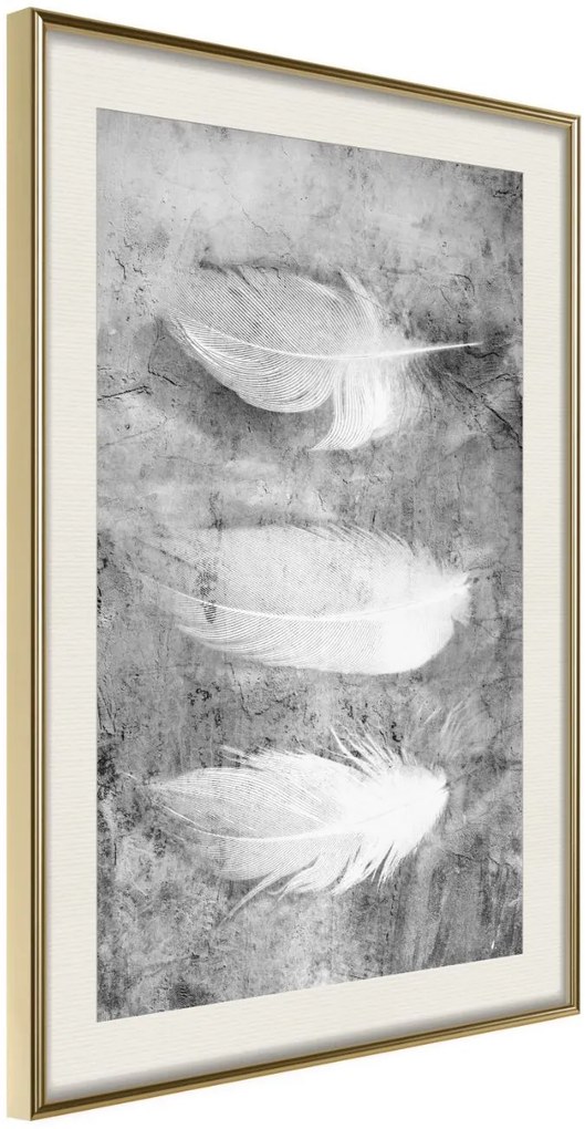 Αφίσα - Delicate Feathers - 20x30 - Χρυσό - Με πασπαρτού