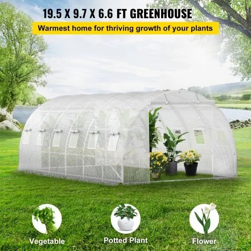 VEVOR Walk-in Tunnel Greenhouse, 20 x 10 x 7 ft Portable Plant Hot House w/ Galvanized Steel Hoops, 3 Top Beams, 4 Diagonal Poles, 2 Zippered Doors &amp; 12 Roll-up Windows, White