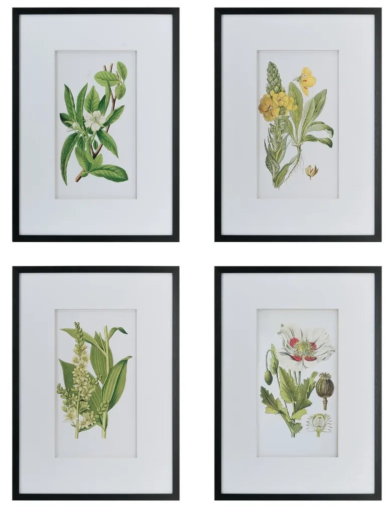 Artekko Botanical Πίνακας με Κορνίζα Πλαστικό Γυαλί Μαύρο Πράσινο (50x3x70)cm Σετ/4 Artekko AV44590