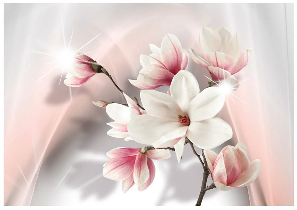 Φωτοταπετσαρία - White magnolias 250x175