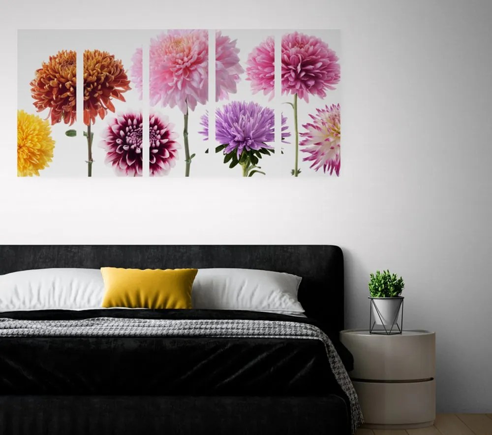 Εικόνα 5 τμημάτων λουλούδια ντάλια σε διάφορα σχέδια - 200x100