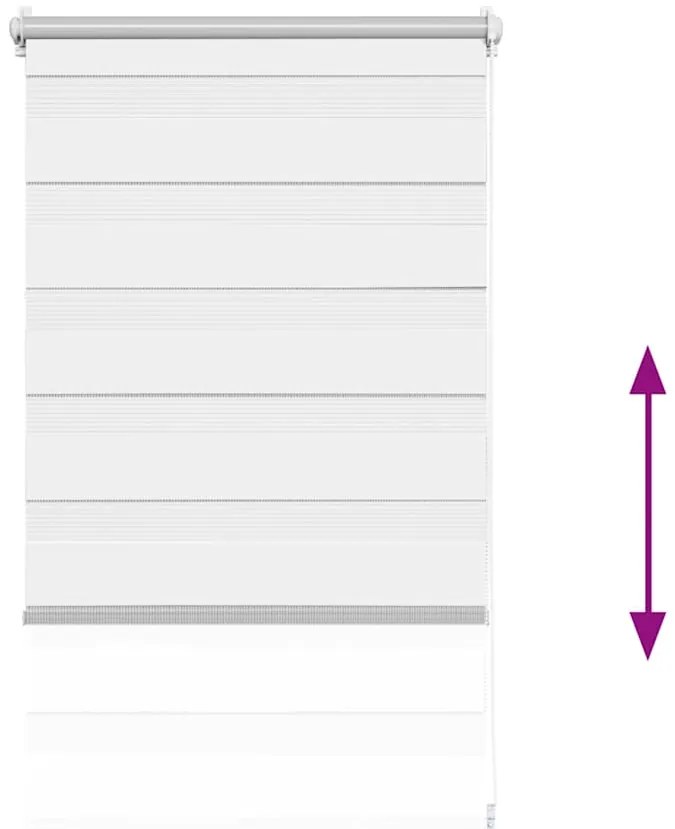 Ρόλερ Zebra Λευκό 60 x 120cm