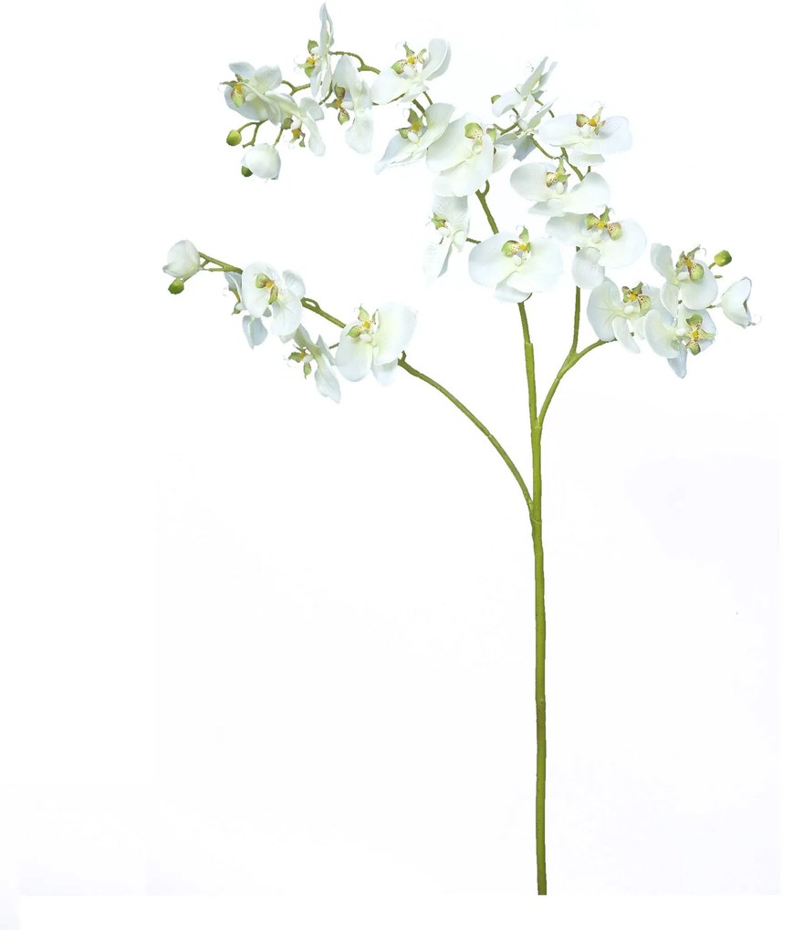 Λουλούδι CONCORAL 1.4m Orquidea Crema 1239060-E2