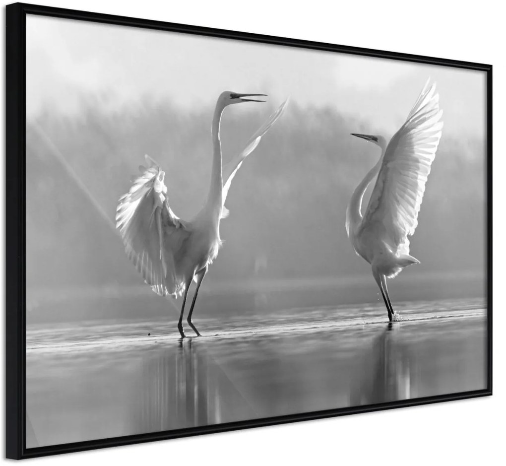 Αφίσα - Black and White Herons - 45x30 - Μαύρο - Χωρίς πασπαρτού