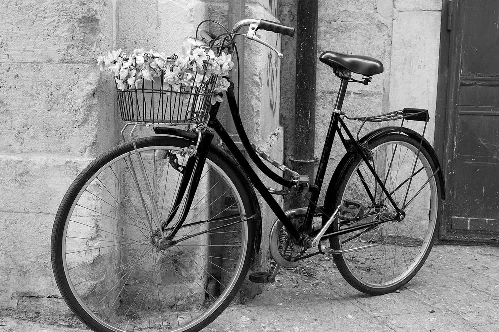 Εικόνα ενός ρουστίκ ποδηλάτου σε ασπρόμαυρο - 120x80