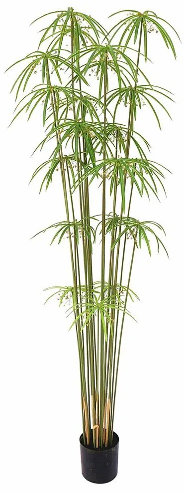 Τεχνητό Δέντρο Πάπυρος 0701-6 210cm Green Supergreens Plastic