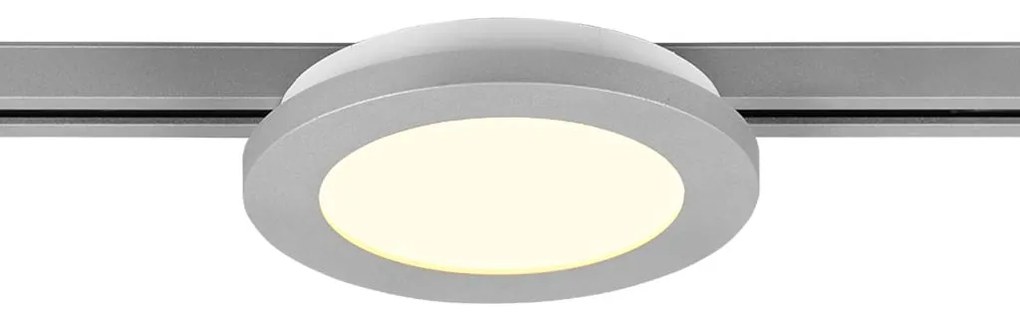 Φωτιστικό Οροφής Ράγας DUOline Trio Lighting Camillus 76921087 Γκρι