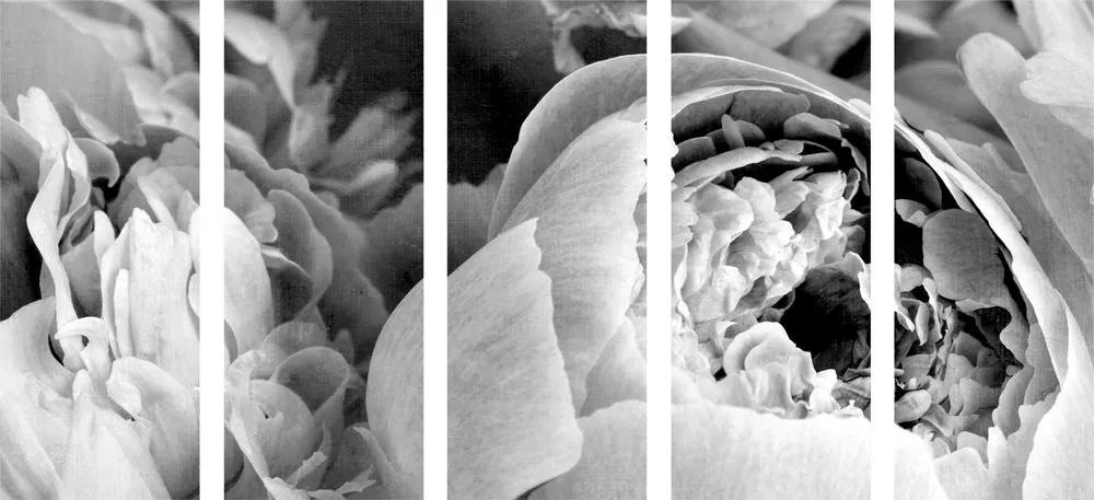 Εικόνα 5 τμημάτων ασπρόμαυρα πέταλα ενός λουλουδιού - 200x100