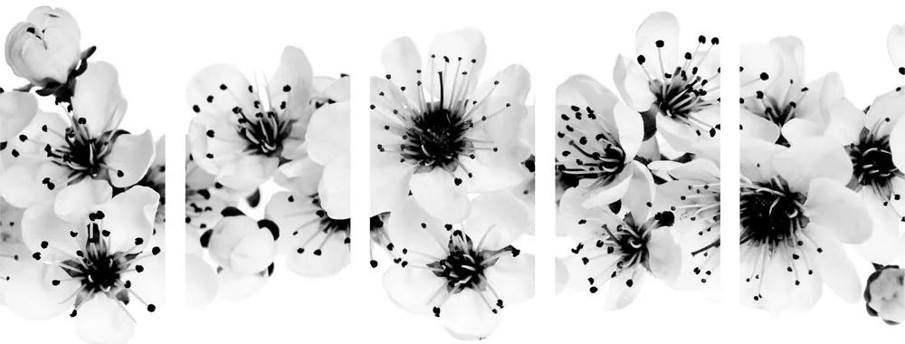 Εικόνα 5 τμημάτων άνθη κερασιάς σε μαύρο & άσπρο - 100x50