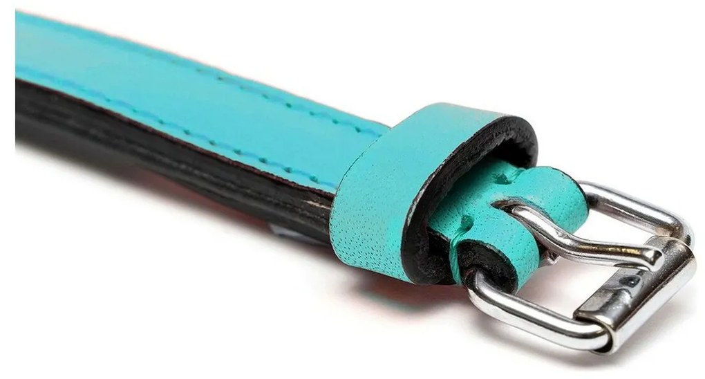 Κολλάρο Σκύλου Gloria Γεμισμένο Turquoise 55 cm (55 x 2,5 cm)