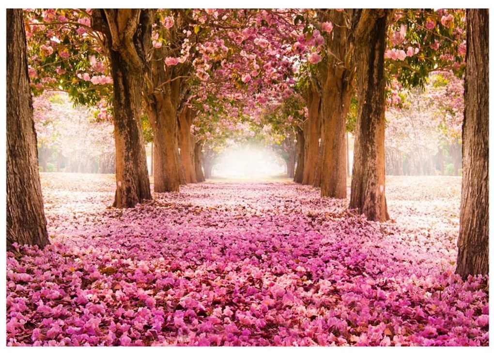 Φωτοταπετσαρία - Pink grove 200x140