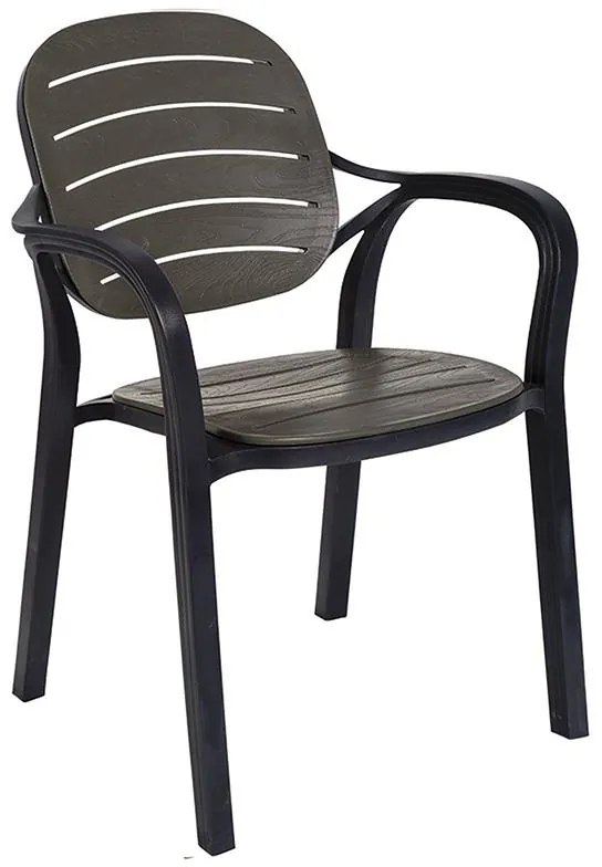 Καρέκλα - Πολυθρόνα Gentle PP ανθρακί 57.5x58x84 εκ.