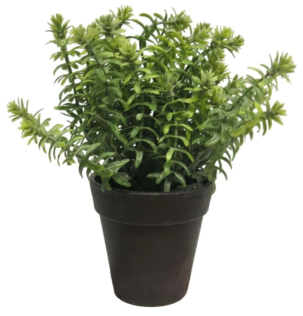 Supergreens Τεχνητό Φυτό Αρωματικό 23 εκ. - 0750-6 - 0750-6