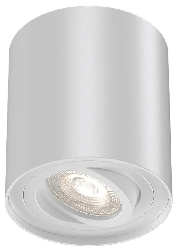 Φωτιστικό Σποτ Braytron BH04-00300 Λευκό (White)