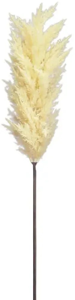 Τεχνητό Λουλούδι Πάμπας Κορταδερία 00-24157-2 86cm Ecru Marhome Χαρτί,Πλαστικό