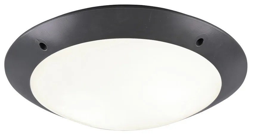 Φωτιστικό Οροφής Reality Lighting -RL CAMARO R60502042 Ανθρακί (Anthracite)