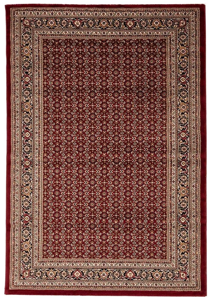 Χαλί (160x230) Royal Carpet Teheran 3924 Red
