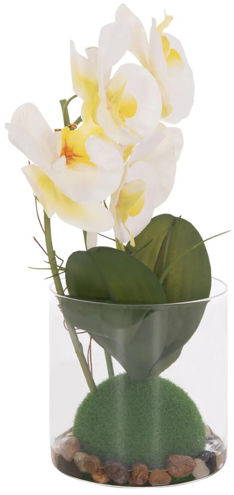 Διακοσμητικό Συνθετικό Φυτό Λουλούδι PHALAENOPSIS C4738 σε Γυάλινο Βάζο 12x24x30Υεκ 12x24x30 εκ.