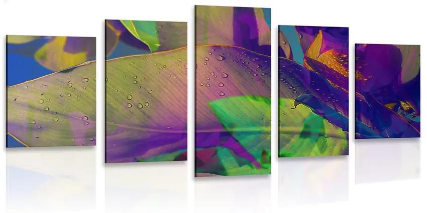 5 μέρη εικόνα χρωματιστά φύλλα - 200x100