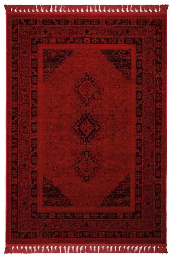 Χαλί (240x300) Βιοκαρπέτ Mauri 01991A Burgundy