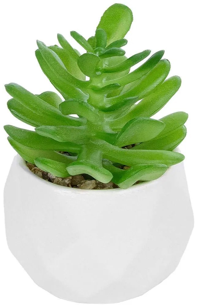 Τεχνητό Φυτό Σε Κασπώ Crassula 20986 Φ6x10cm Green-White GloboStar Πηλός,Πολυαιθυλένιο