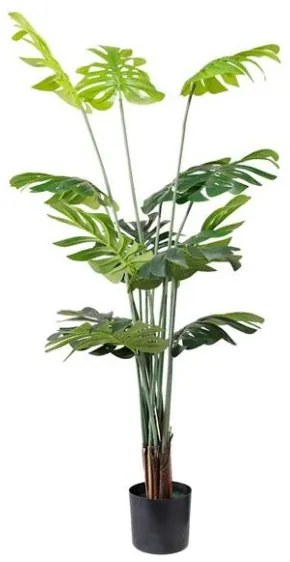 New plan MONSTERA NP6314_155_22 ΥΨΟΣ 155cm Τεμαχιο