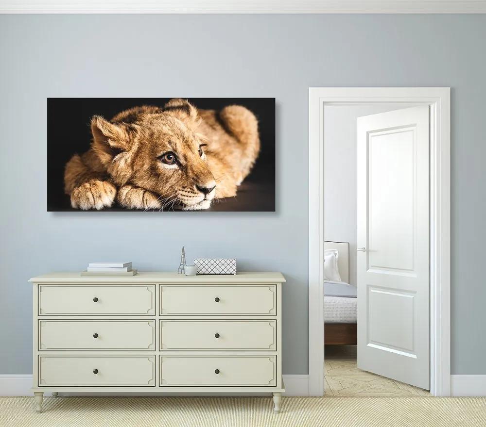 Εικόνα ενός νεαρού λιονταριού - 120x60