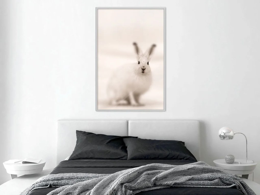 Αφίσα - Curious Rabbit - 20x30 - Χρυσό - Χωρίς πασπαρτού