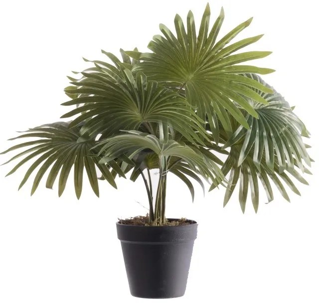 Supergreens Τεχνητό Φυτό Φοίνικας Washingtonia Πράσινο 48 εκ