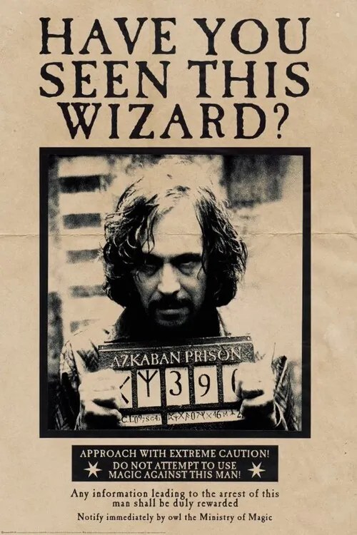 XXL Αφίσα Harry Potter - Wanted Sirius Black, (80 x 120 cm)