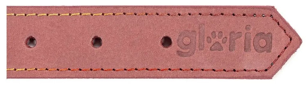 Κολλάρο Σκύλου Gloria Oasis Ροζ (1,2 x 35 cm)