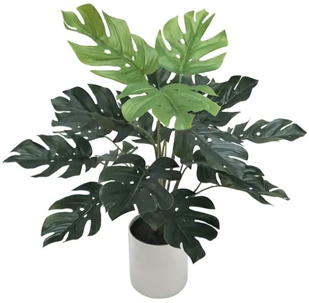 MarHome ΦΥΤΟ ΜΟΝΣΤΕΡΑ REAL TOUCH ΣΕ ΚΑΣΠΩ - Υ40cm 12/ΚΙΒ  04-20039(18833)