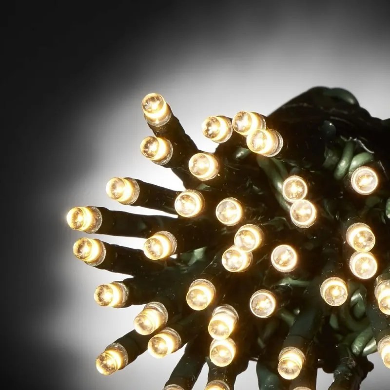 Epam Σειρά 100 LED Θερμό Λευκό Σταθερά 5m Πράσινο Καλώδιο Επεκτεινόμενα IP44 Ρεύματος XLALED100W-GWW/31V