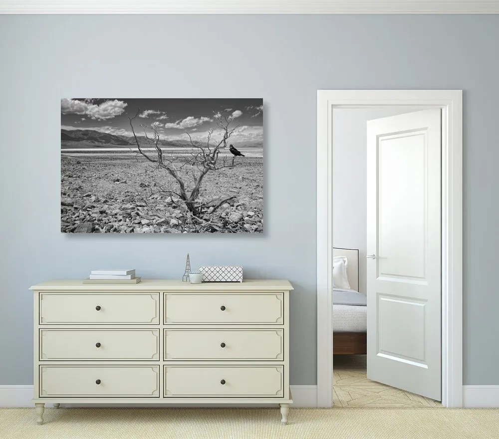 Εικόνα ασπρόμαυρης ξηρασίας τοπίου - 60x40