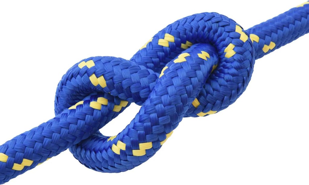 VidaXL Σχοινί Boat 50 χιλ. 5 m Μπλε polypropylene