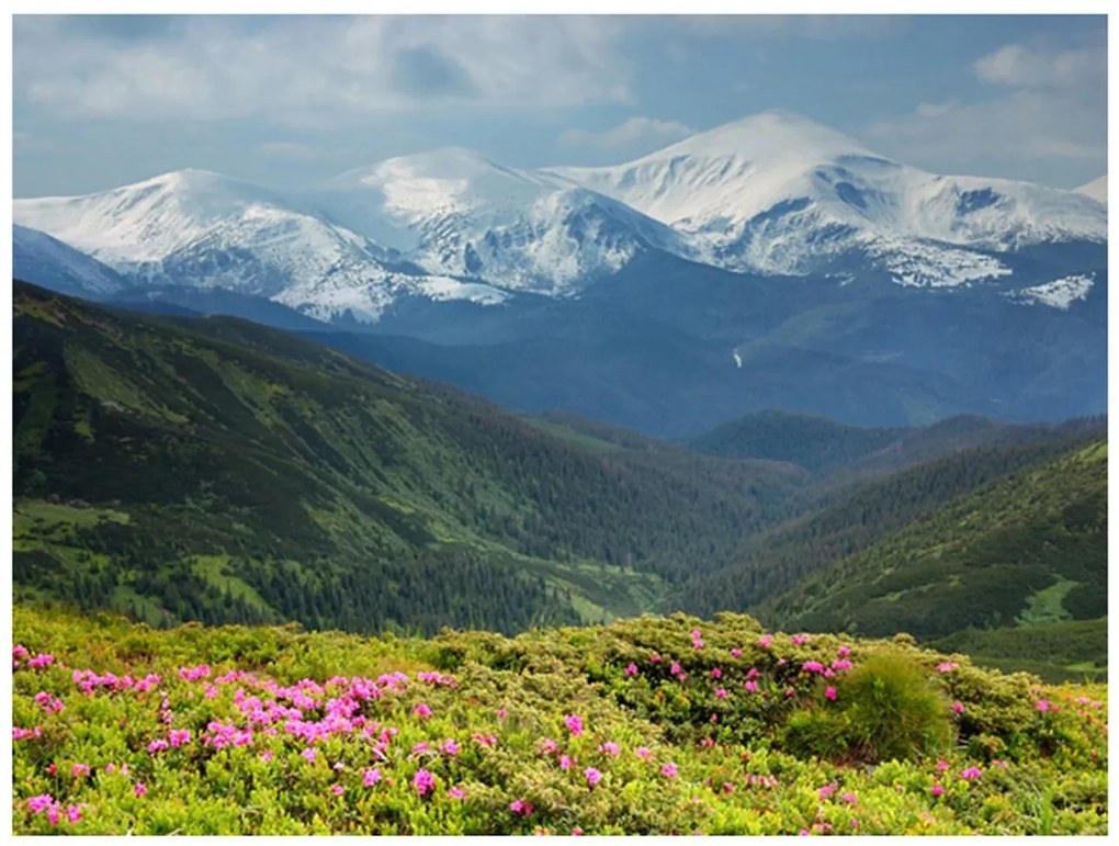 Φωτοταπετσαρία - Spring mountain landscape 400x309