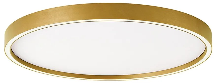 Φωτιστικό Οροφής - Πλαφονιέρα Vanessa 4292801 LED 38W 3000K/4000K 1530Lm 50x5cm Gold Viokef