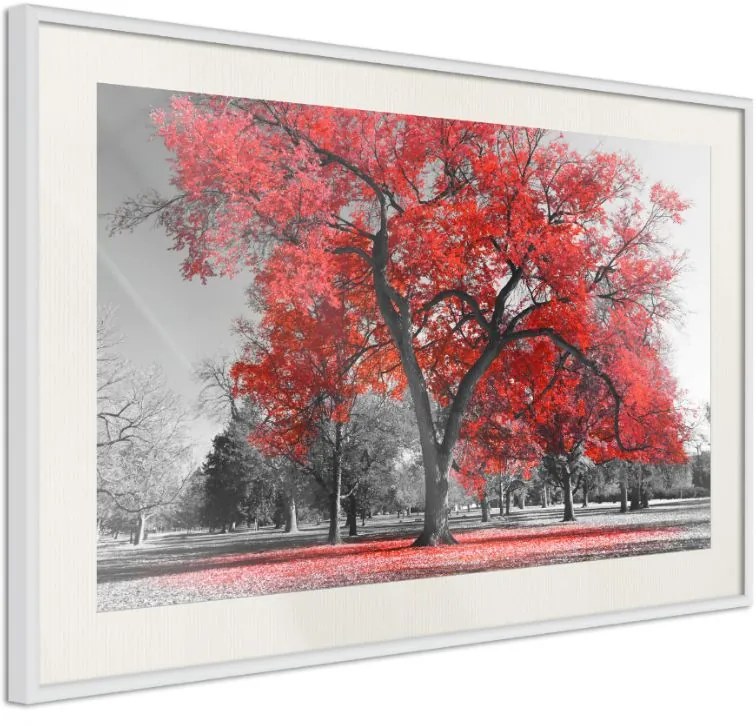 Αφίσα - Red Tree - 30x20 - Χρυσό - Χωρίς πασπαρτού