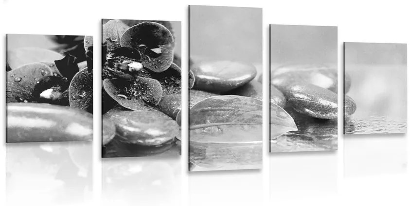 Ορχιδέα με εικόνα 5 μερών με μια πινελιά χαλάρωσης σε ασπρόμαυρο - 200x100