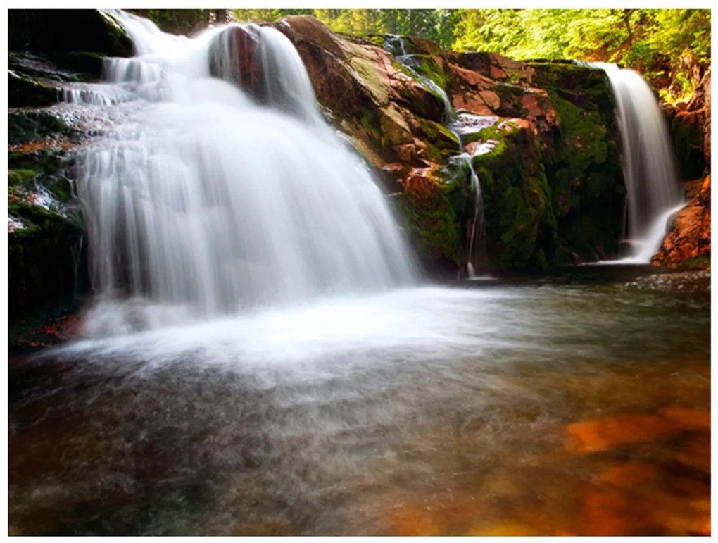 Φωτοταπετσαρία - Small Elbe waterfall 200x154