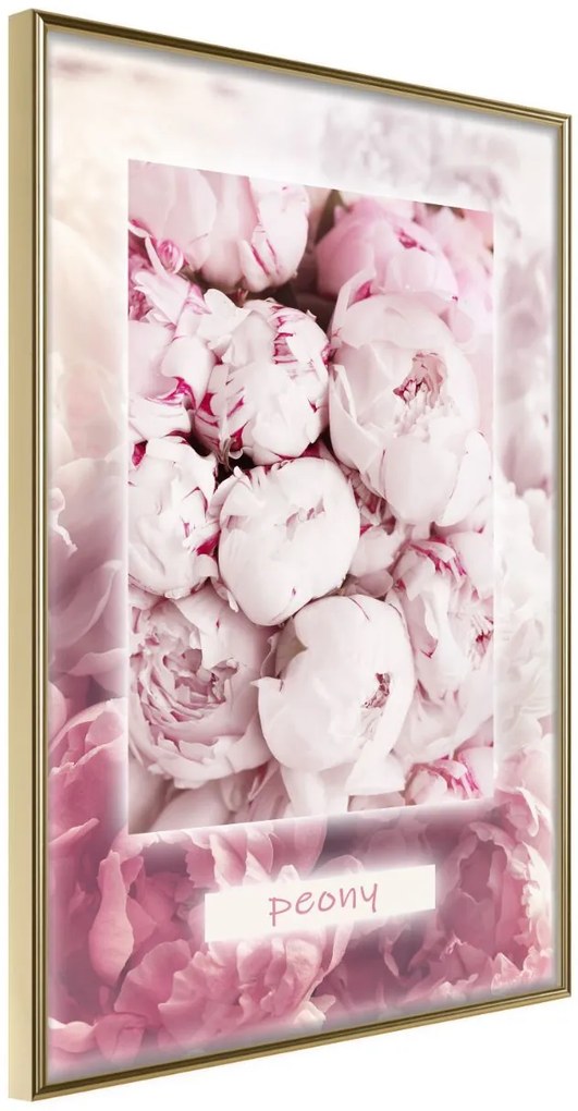 Αφίσα - Scent of Peonies - 30x45 - Χρυσό - Χωρίς πασπαρτού