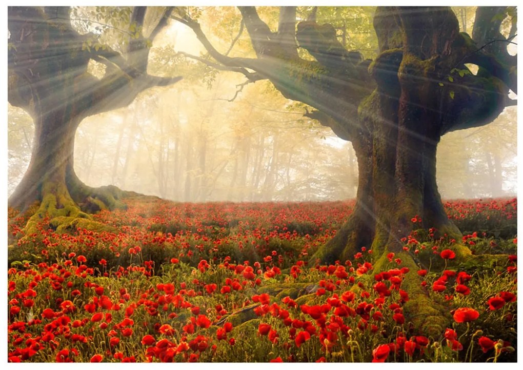 Φωτοταπετσαρία - Morning among poppies 400x280