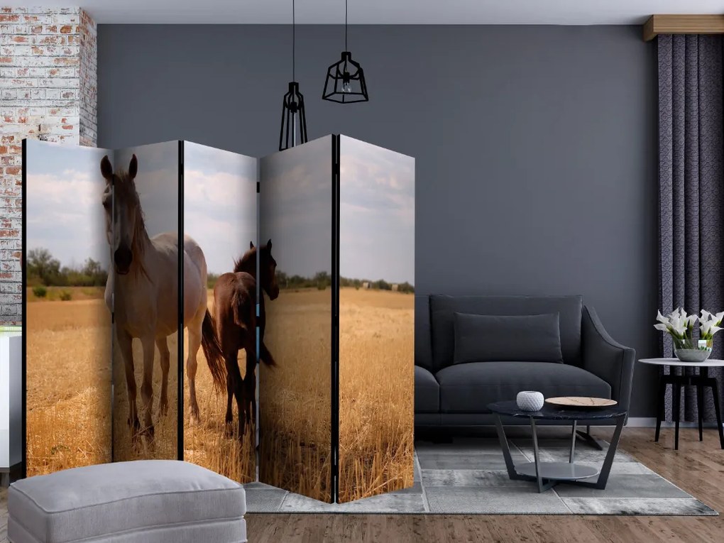 Διαχωριστικό με 5 τμήματα - Horse and foal II [Room Dividers]