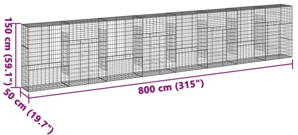 Συρματοκιβώτιο με Κάλυμμα 800x50x150εκ. από Γαλβανισμένο Χάλυβα - Ασήμι