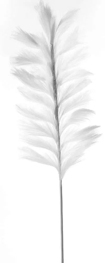 Τεχνητό Κλαδί Pampas Pilosa 9081-7 120cm White Supergreens Ύφασμα,Πλαστικό