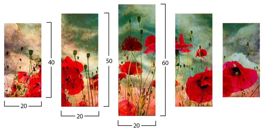 ΠΙΝΑΚΑΣ ΠΕΝΤΑΠΤΥΧΟ MDF POPPY FIELD HM7206.03 100X0,3X60 εκ.