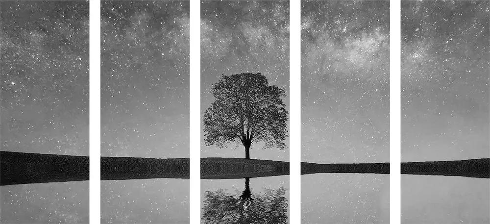 Εικόνα 5 τμημάτων έναστρος ουρανός πάνω από μοναχικό δέντρο σε ασπρόμαυρο