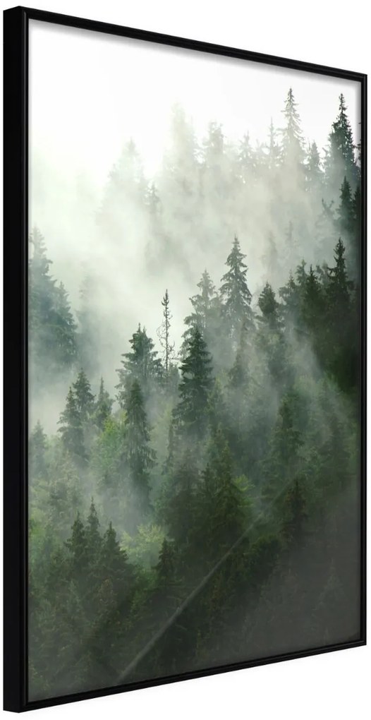 Αφίσα - Steaming Forest - 30x45 - Μαύρο - Χωρίς πασπαρτού