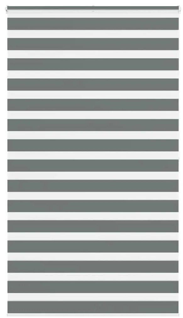 Ζέβρα τυφλή Σκούρο Γκρι Πλάτος υφάσματος 115,9 εκ. Πολυεστέρας