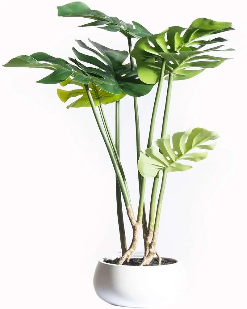 Τεχνητό Φυτό Μονστέρα 8550-6 40x40x65cm Green Supergreens Polyethylene